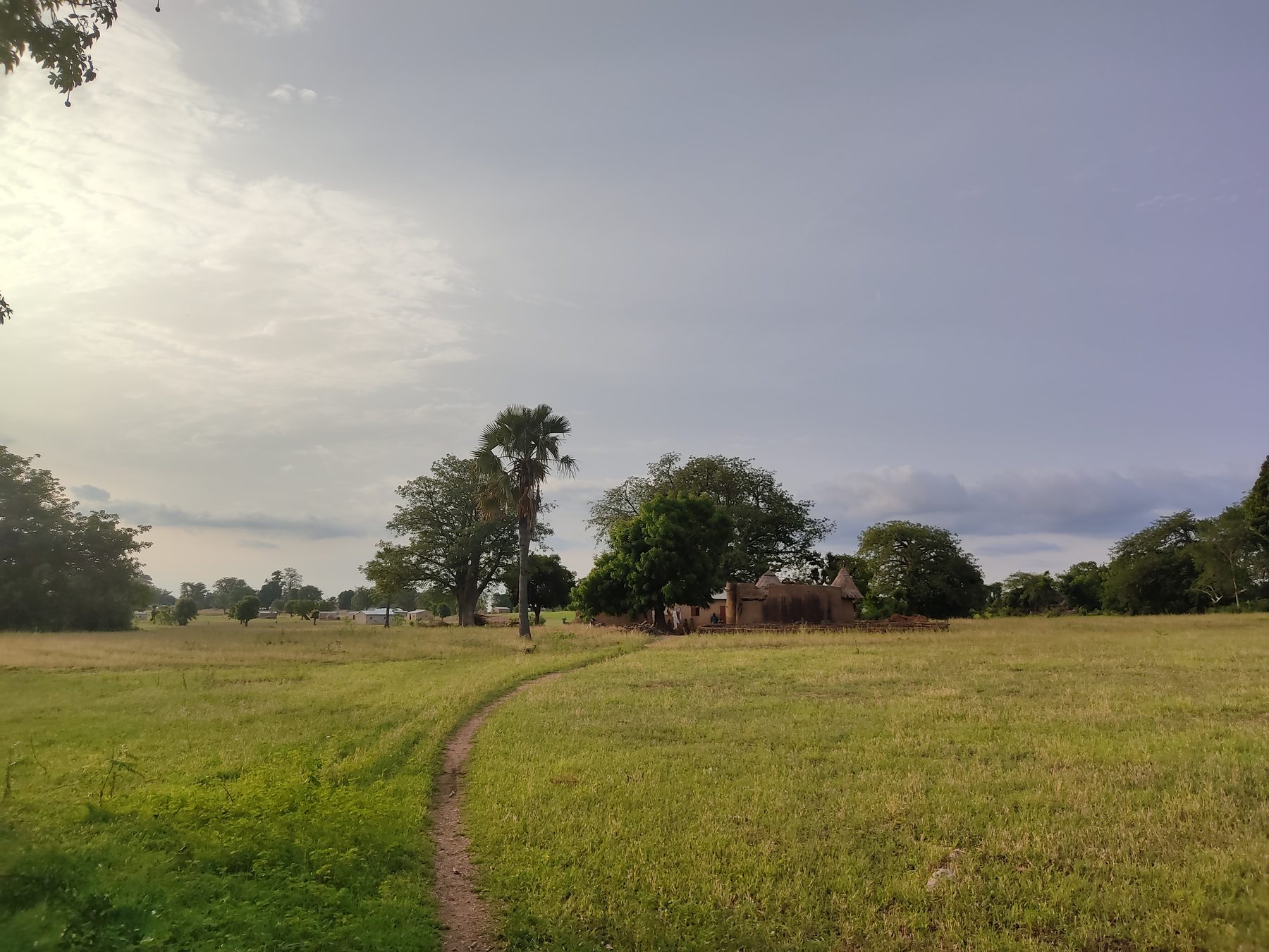 Sentier à travers la savane vers un village