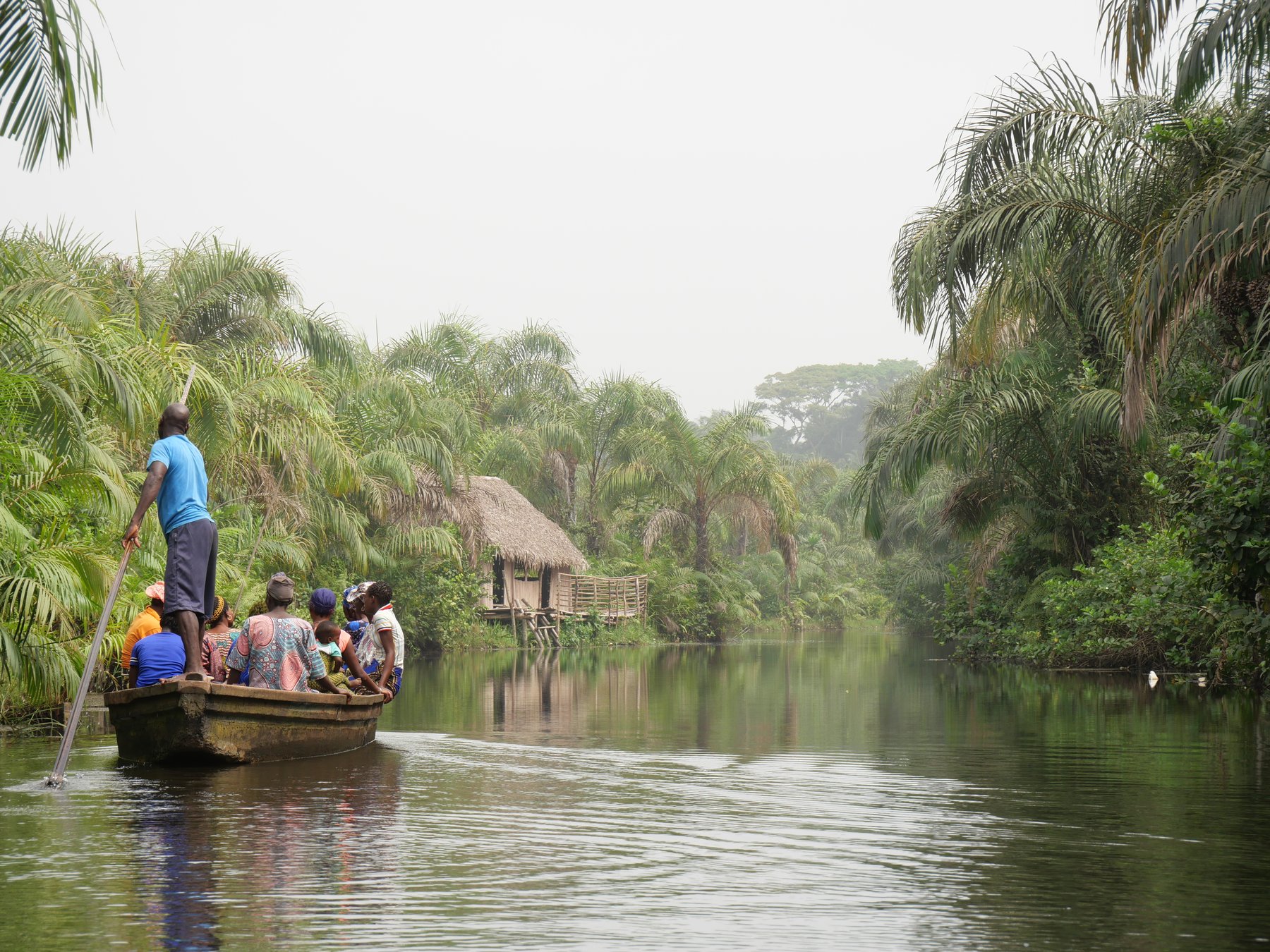 Rivière au cœur de la forêt tropicale du sud du Bénin