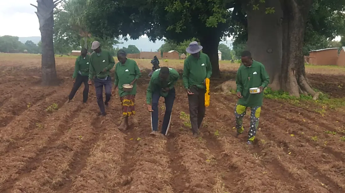 Dettaglio del progetto - Cooperativa agricola - Manta
