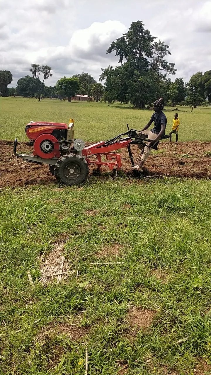 Immagine del progetto - Cooperativa agricola - Manta