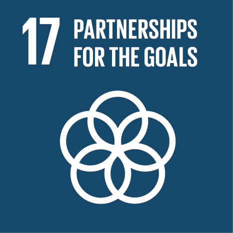Objectif ONU 17, Partenariats pour la réalisation des objectifs
